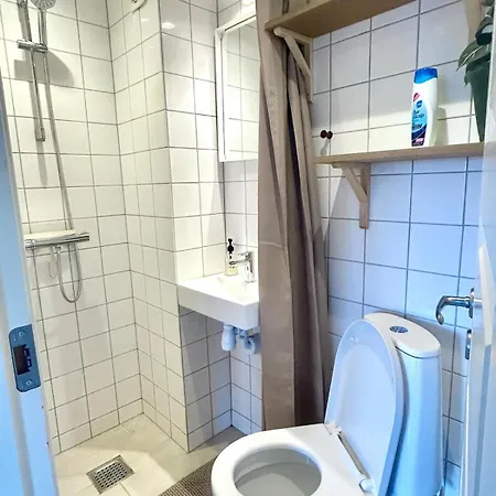 Cozy 2-room Apartment, Close To The Center K 3 - 2 Th Leilighet